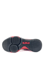 Nike Lebron Witness
